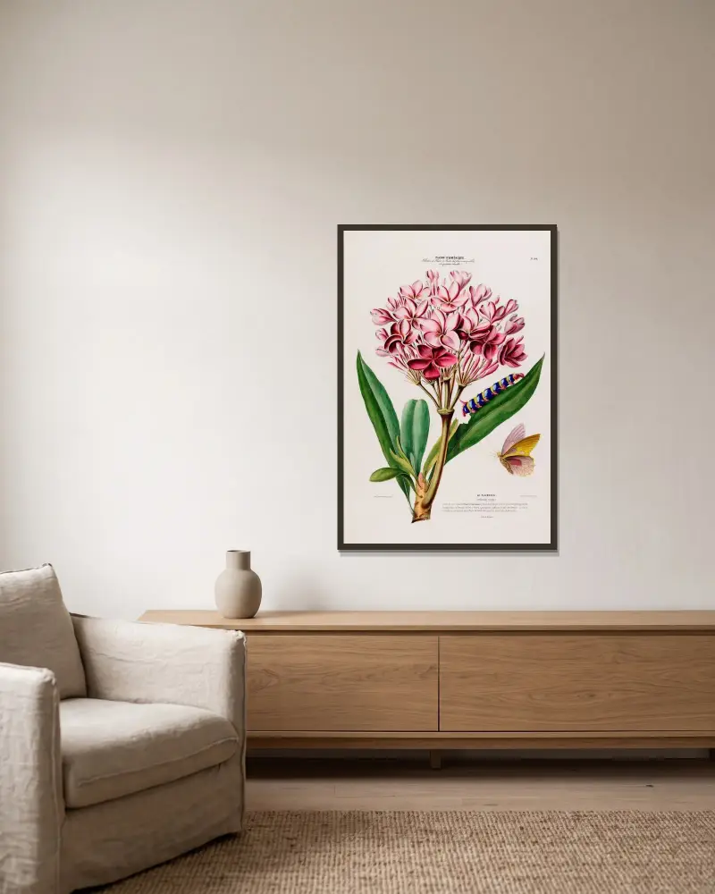 Flore d’Amérique, tecknad efter naturen på plats Pl.104 av Etienne Denisse inramad på en vägg