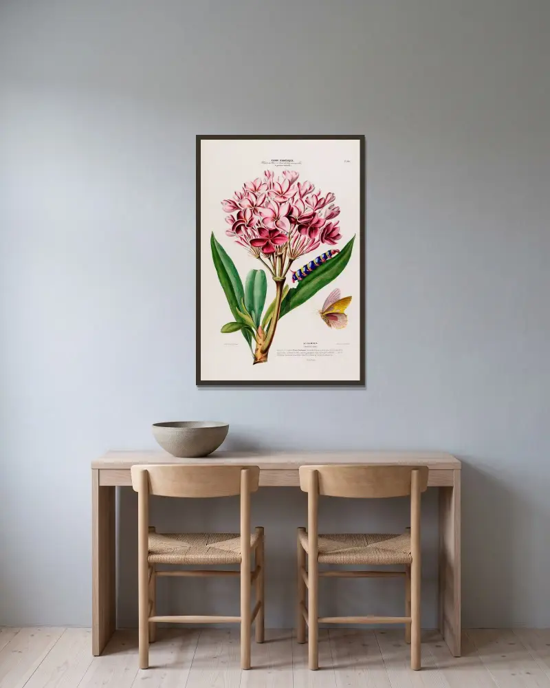 Flore d’Amérique, tecknad efter naturen på plats Pl.104 av Etienne Denisse inramad på en vägg