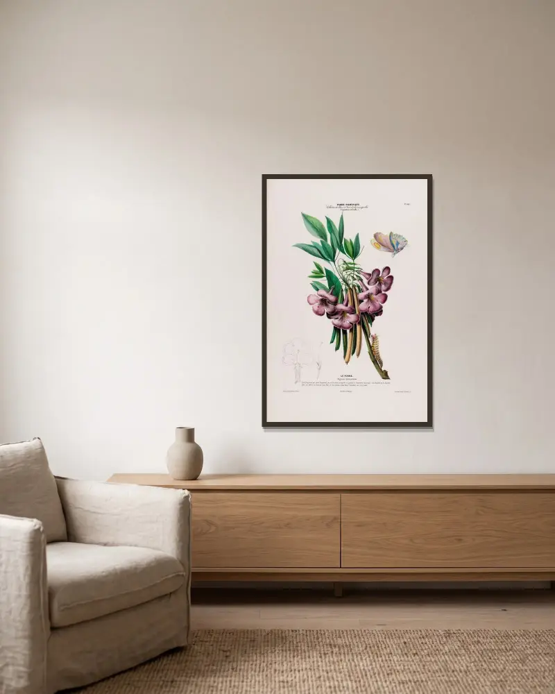 Flore d’Amérique, tecknad efter naturen på plats, pl. 105 av Etienne Denisse inramad på en vägg