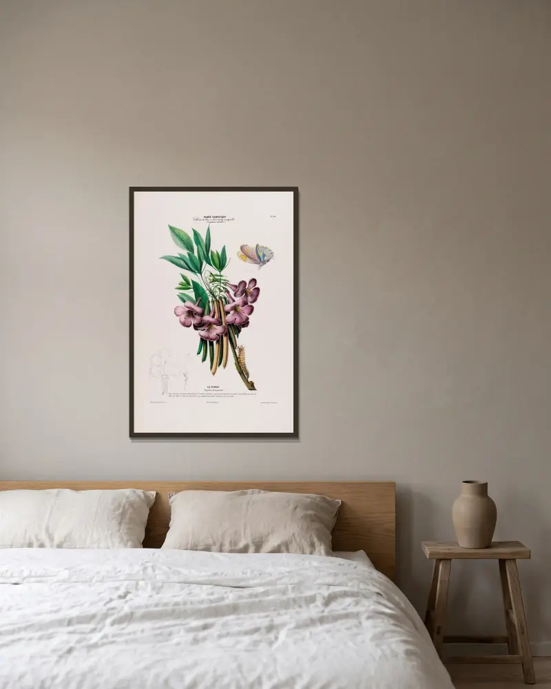 Flore d’Amérique, tecknad efter naturen på plats, pl. 105 av Etienne Denisse inramad på en vägg