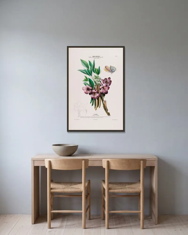 Flore d’Amérique, tecknad efter naturen på plats, pl. 105 av Etienne Denisse inramad på en vägg