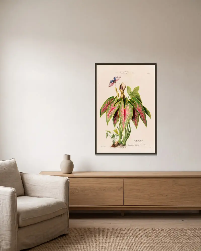 Flore d’Amérique, dessinée d’après nature sur les lieux Pl.108 av Etienne Denisse inramad på en vägg