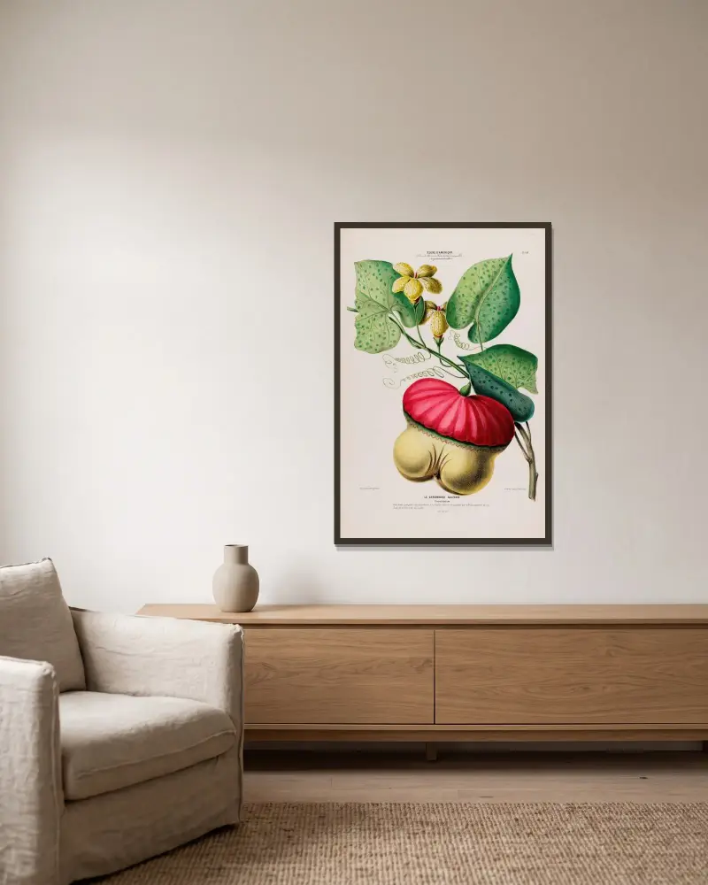 Flore d’Amérique, dessinée d’après nature sur les lieux Pl.109 av Etienne Denisse inramad på en vägg