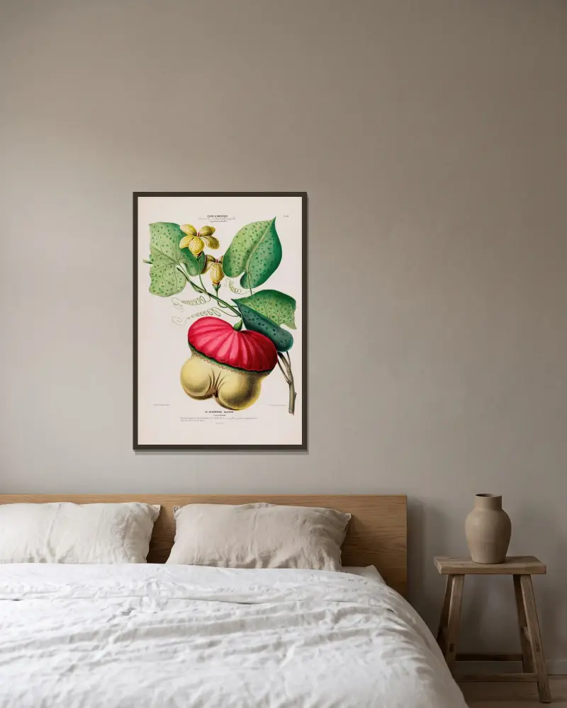Flore d’Amérique, dessinée d’après nature sur les lieux Pl.109 av Etienne Denisse inramad på en vägg