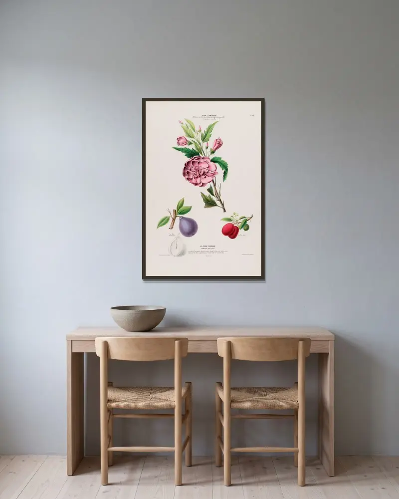 Flora från Amerika, tecknad efter naturen på plats Pl.110 av Etienne Denisse inramad på en vägg