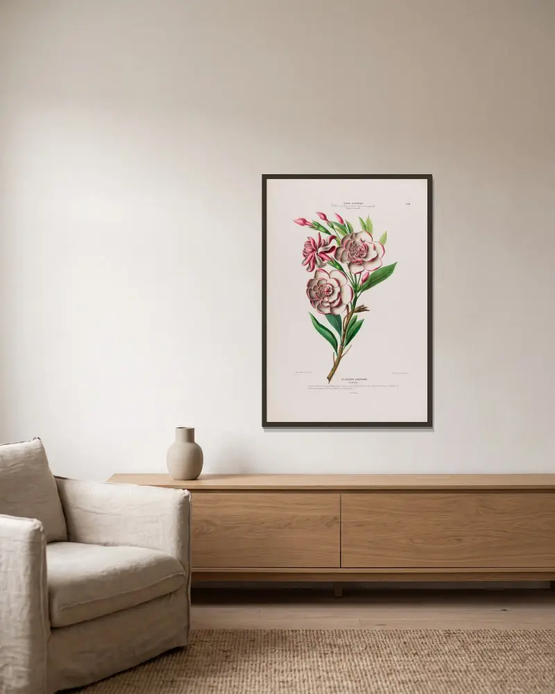 Flore d’Amérique, tecknad efter naturen på plats, plansch 111 av Etienne Denisse inramad på en vägg