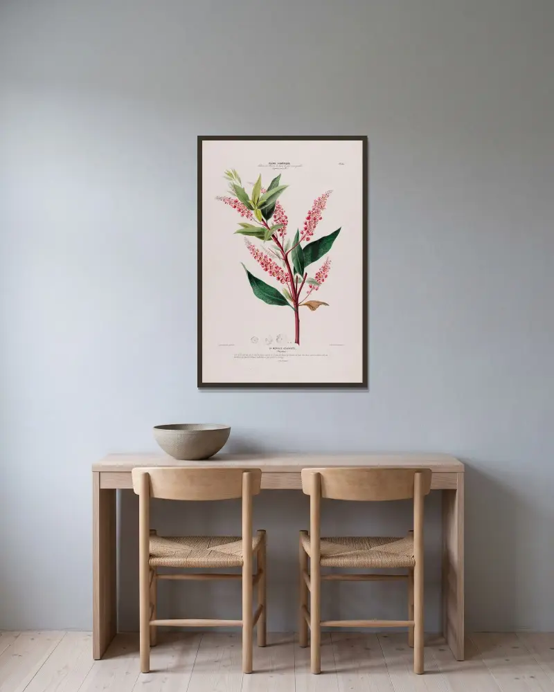 Flore d’Amérique, tecknad efter naturen på platsen, plansch 112 av Etienne Denisse inramad på en vägg