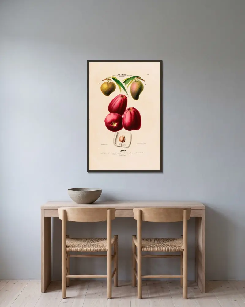 Flore d’Amérique, dessinée d’après nature sur les lieux Pl.113 av Etienne Denisse inramad på en vägg