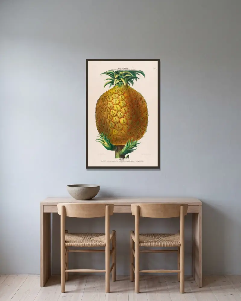 Flore d’Amérique, dessinée d’après nature sur les lieux Pl.114 av Etienne Denisse inramad på en vägg