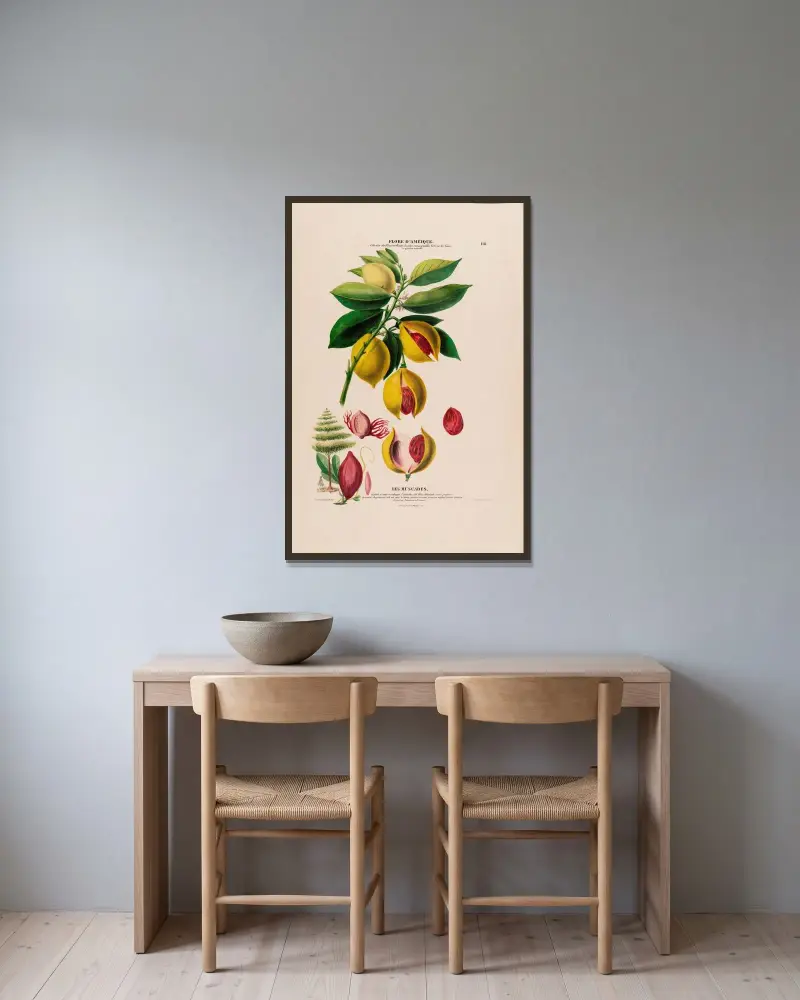 Flore d’Amérique, tecknad efter naturen på plats, plansch 118 av Etienne Denisse inramad på en vägg