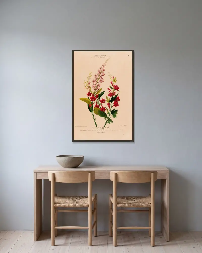 Flore d’Amérique, tecknad efter naturen på plats, plansch 121 av Etienne Denisse inramad på en vägg