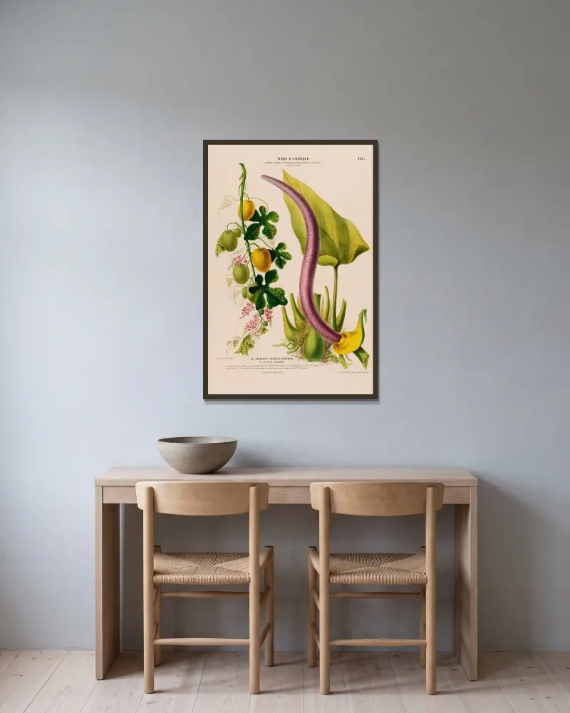 Flore d’Amérique, tecknad efter naturen på plats Pl.122 av Etienne Denisse inramad på en vägg