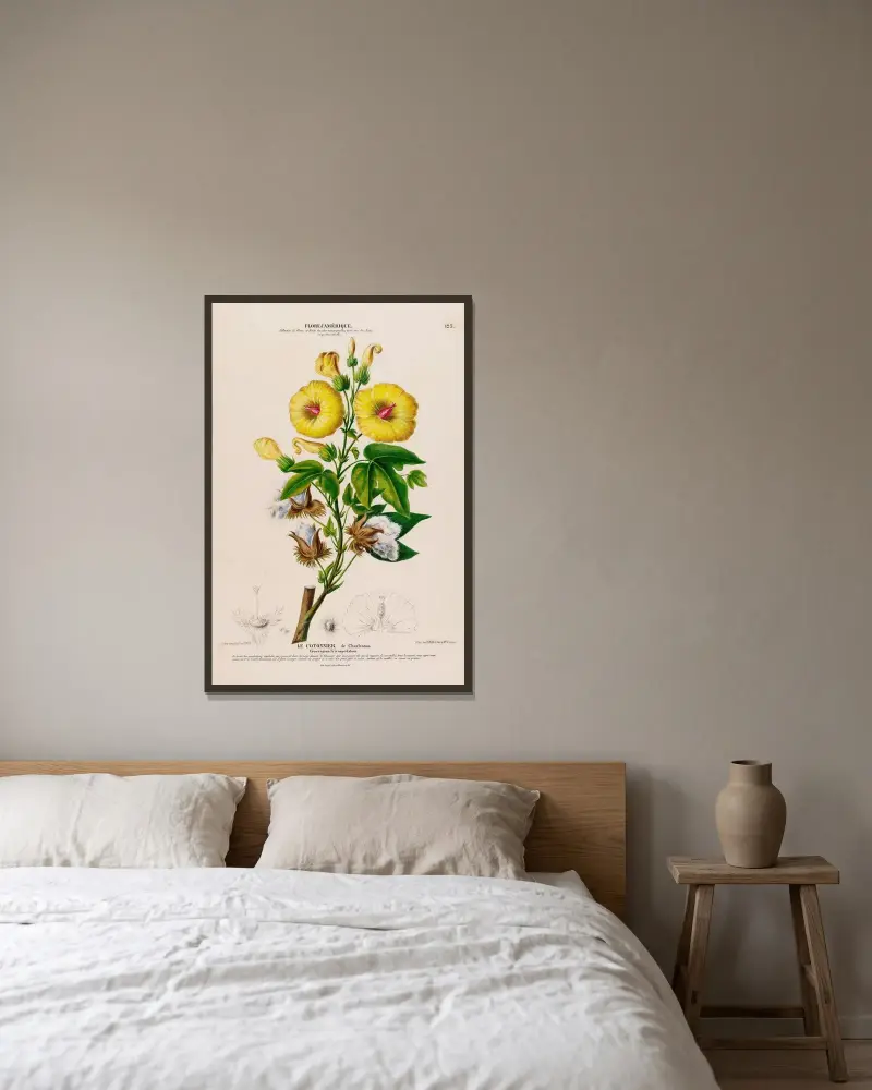 Flore d'Amérique, tecknad efter naturen på plats Pl.123 av Etienne Denisse inramad på en vägg
