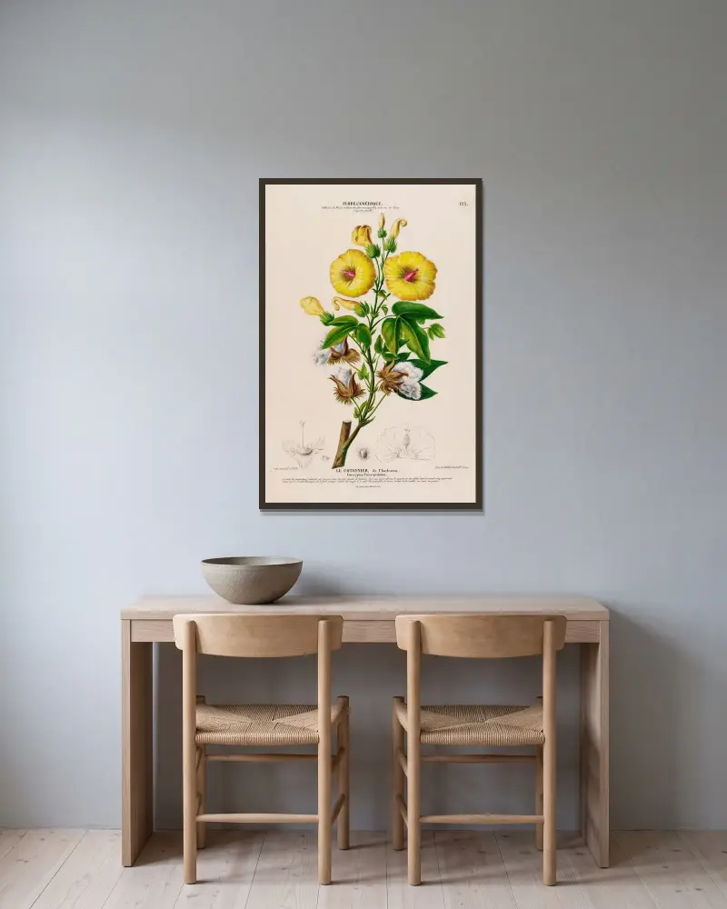 Flore d'Amérique, tecknad efter naturen på plats Pl.123 av Etienne Denisse inramad på en vägg