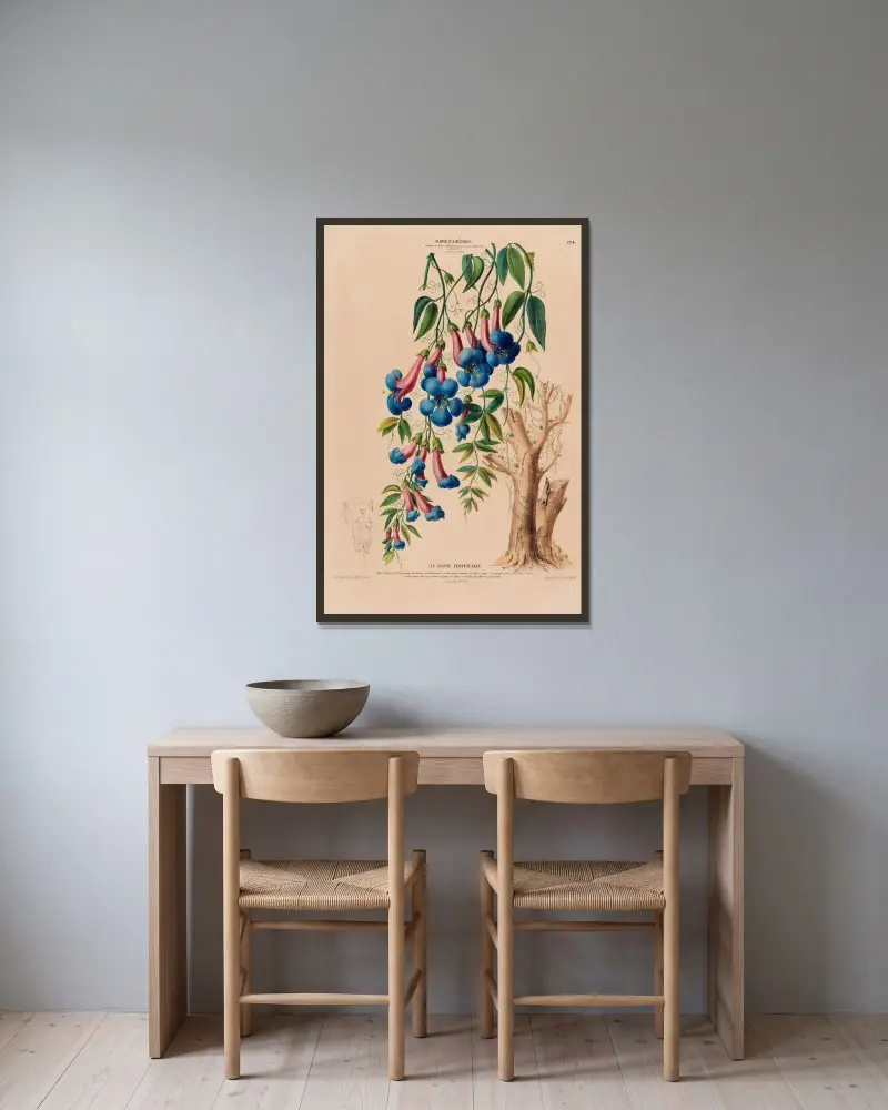 Flore d’Amérique, tecknad efter naturen på plats, plansch 124 av Etienne Denisse inramad på en vägg