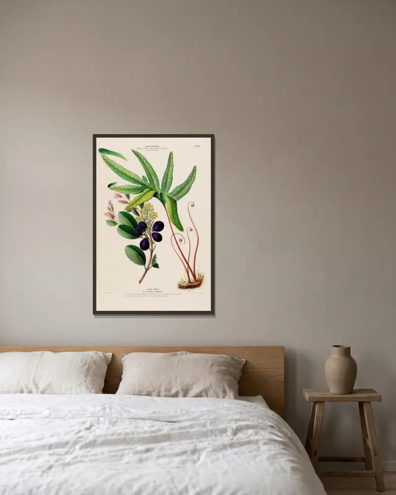 Flore d’Amérique, tecknad efter naturen på plats Pl.128 av Etienne Denisse inramad på en vägg