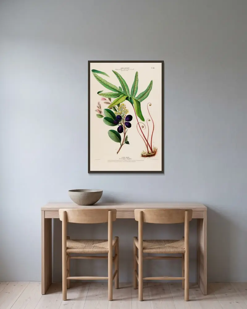 Flore d’Amérique, tecknad efter naturen på plats Pl.128 av Etienne Denisse inramad på en vägg