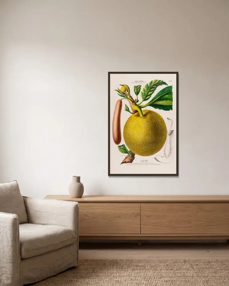 Flore d’Amérique, dessinée d’après nature sur les lieux Pl.129 av Etienne Denisse inramad på en vägg