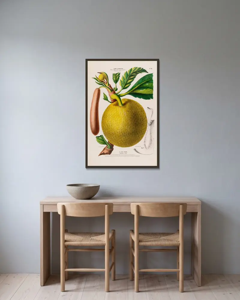 Flore d’Amérique, dessinée d’après nature sur les lieux Pl.129 av Etienne Denisse inramad på en vägg