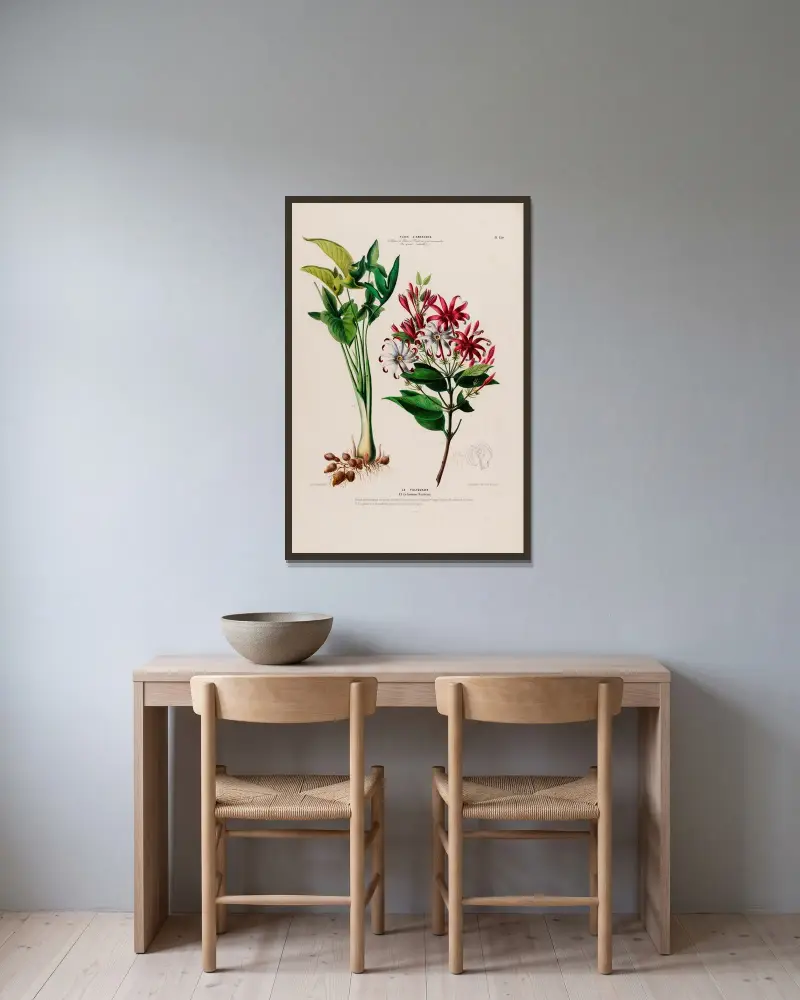 Flore d’Amérique, dessinée d’après nature sur les lieux Pl.130 av Etienne Denisse inramad på en vägg