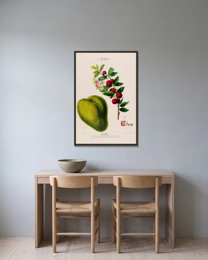 Flore d’Amérique, dessinée d’après nature sur les lieux Pl.131 av Etienne Denisse inramad på en vägg