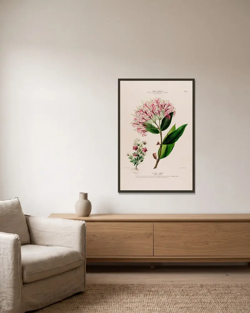 Flore d’Amérique, dessinée d’après nature sur les lieux Pl.136 av Etienne Denisse inramad på en vägg