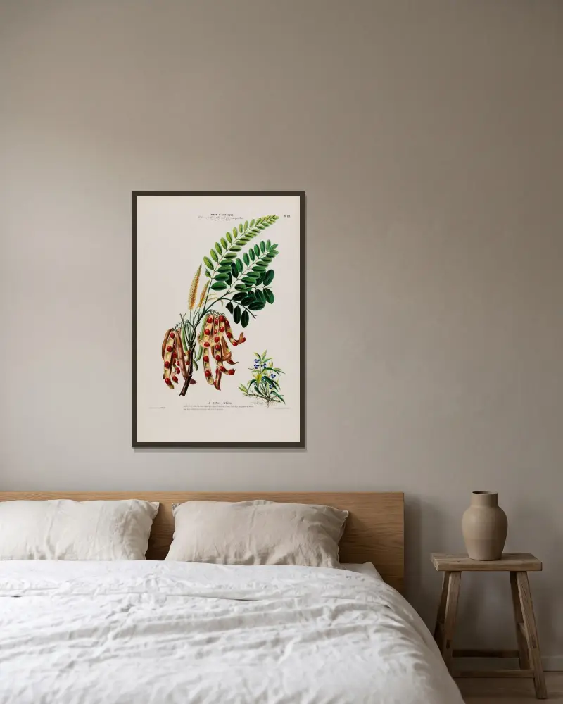 Flore d’Amérique, nach der Natur an Ort und Stelle gezeichnet Pl. 138 von Etienne Denisse gerahmt an einer Wand