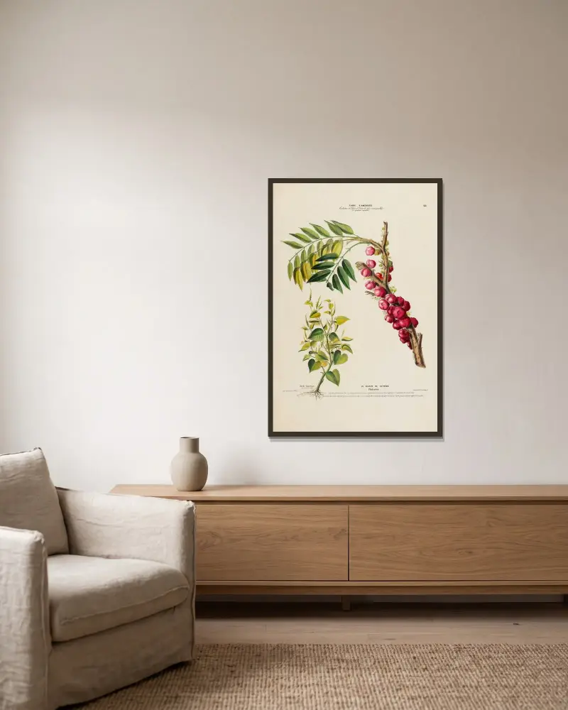 Flore d’Amérique, dessinée d’après nature sur les lieux Pl.141 av Etienne Denisse inramad på en vägg