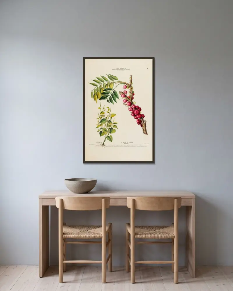 Flore d’Amérique, dessinée d’après nature sur les lieux Pl.141 av Etienne Denisse inramad på en vägg