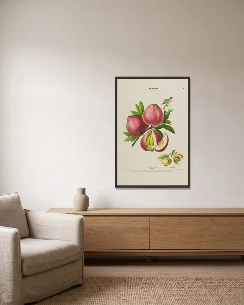 Flore d’Amérique, dessinée d’après nature sur les lieux Pl.142 av Etienne Denisse inramad på en vägg