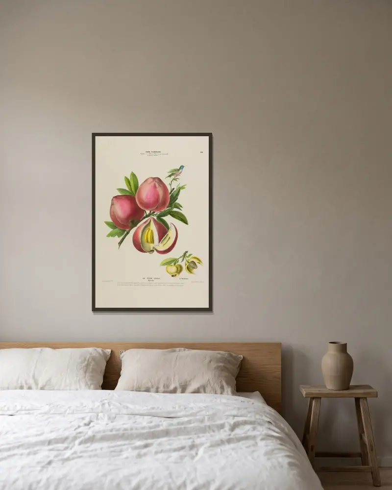 Flore d’Amérique, dessinée d’après nature sur les lieux Pl.142 av Etienne Denisse inramad på en vägg