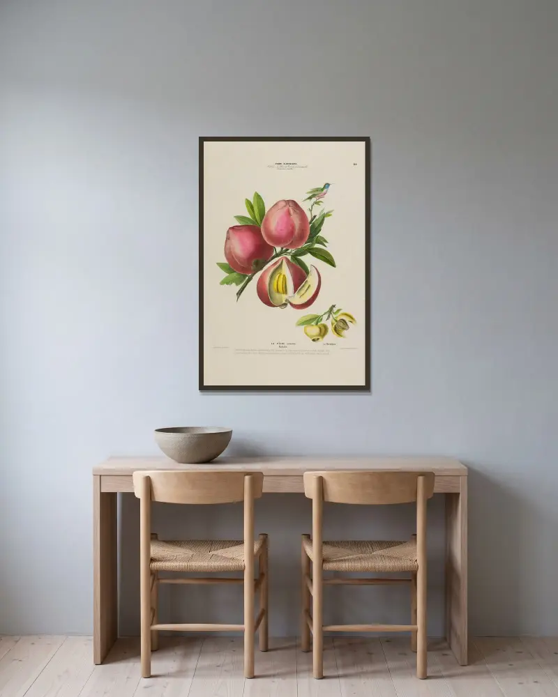 Flore d’Amérique, dessinée d’après nature sur les lieux Pl.142 av Etienne Denisse inramad på en vägg