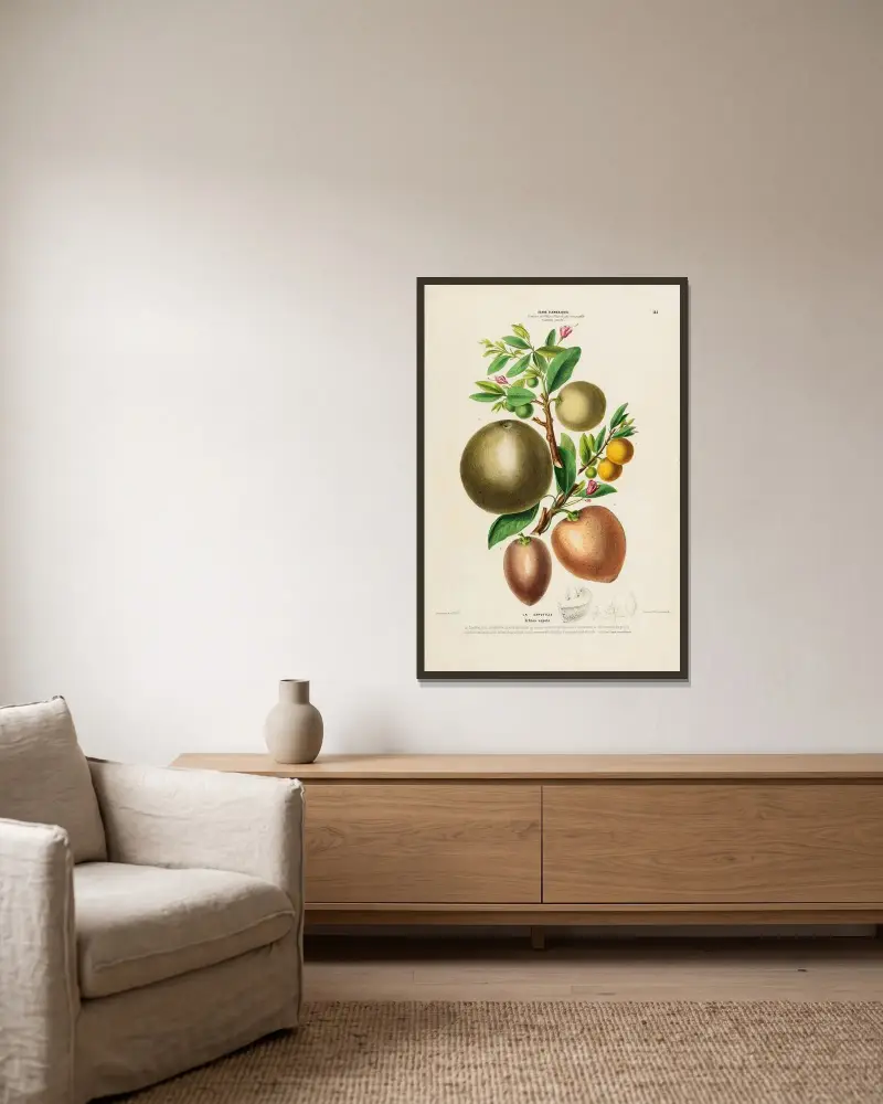 Flore d’Amérique, dessinée d’après nature sur les lieux Pl.144 av Etienne Denisse inramad på en vägg