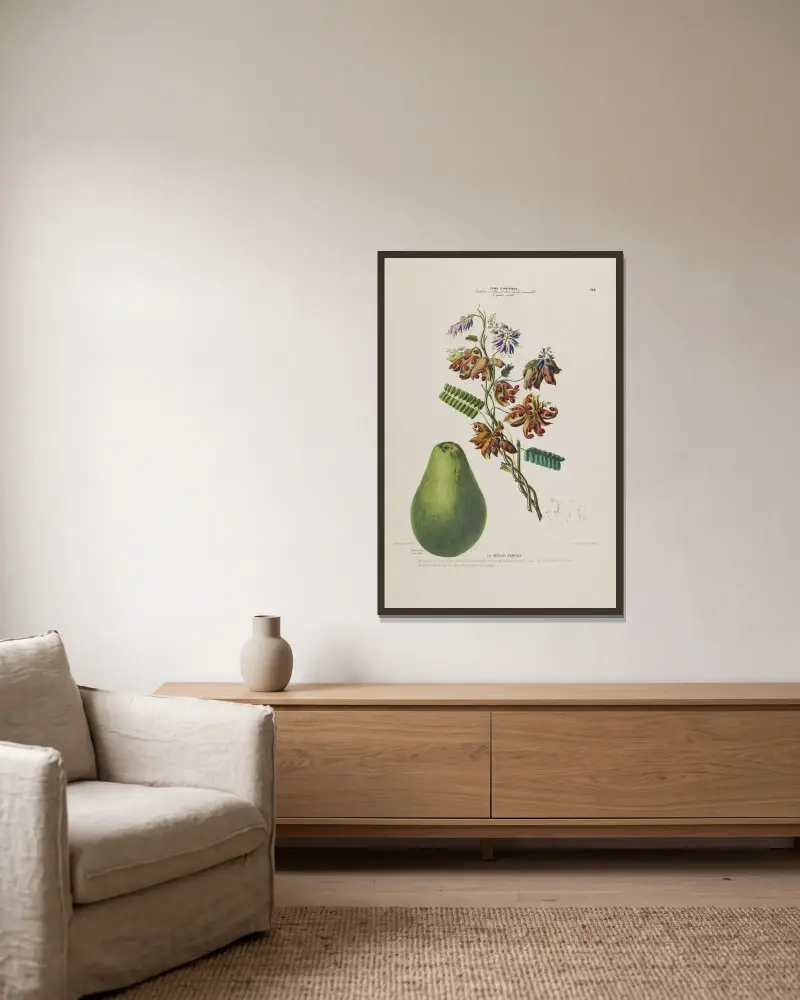 Flore d’Amérique, dessinée d’après nature sur les lieux Pl.148 av Etienne Denisse inramad på en vägg