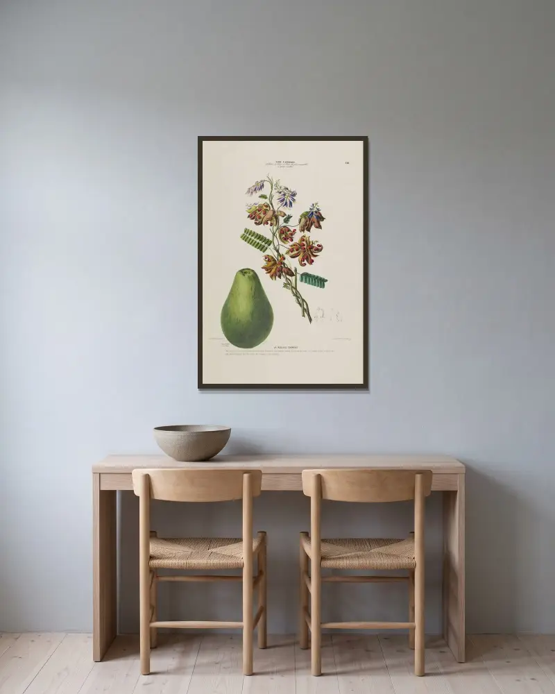 Flore d’Amérique, dessinée d’après nature sur les lieux Pl.148 av Etienne Denisse inramad på en vägg