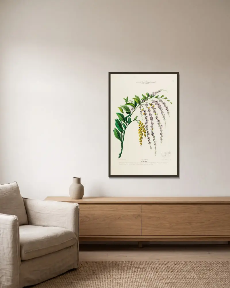 Flore d’Amérique, dessinée d’après nature sur les lieux Pl.151 av Etienne Denisse inramad på en vägg
