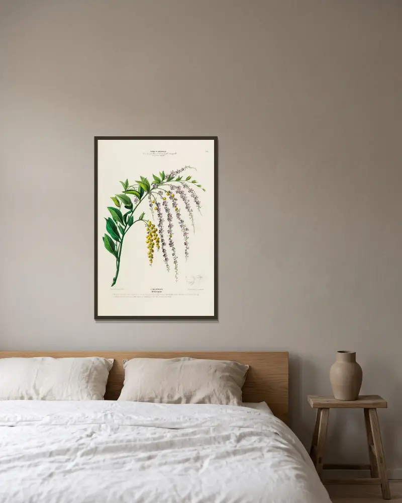 Flore d’Amérique, dessinée d’après nature sur les lieux Pl.151 av Etienne Denisse inramad på en vägg