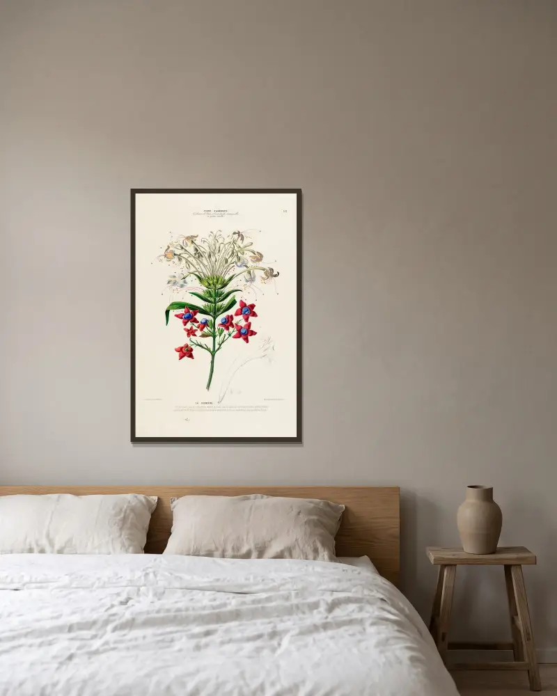 Flore d’Amérique, dessinée d’après nature sur les lieux Pl.152 av Etienne Denisse inramad på en vägg