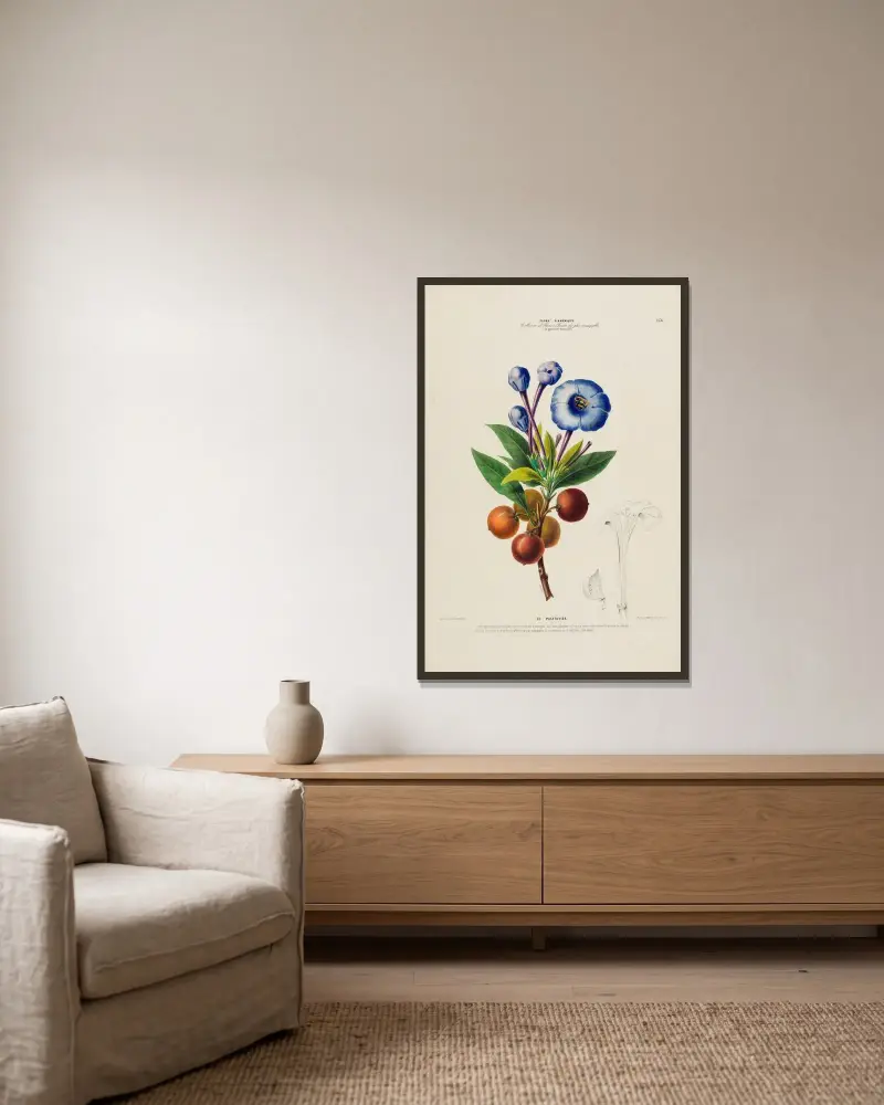 Flore d’Amérique, dessinée d’après nature sur les lieux Pl.154 av Etienne Denisse inramad på en vägg