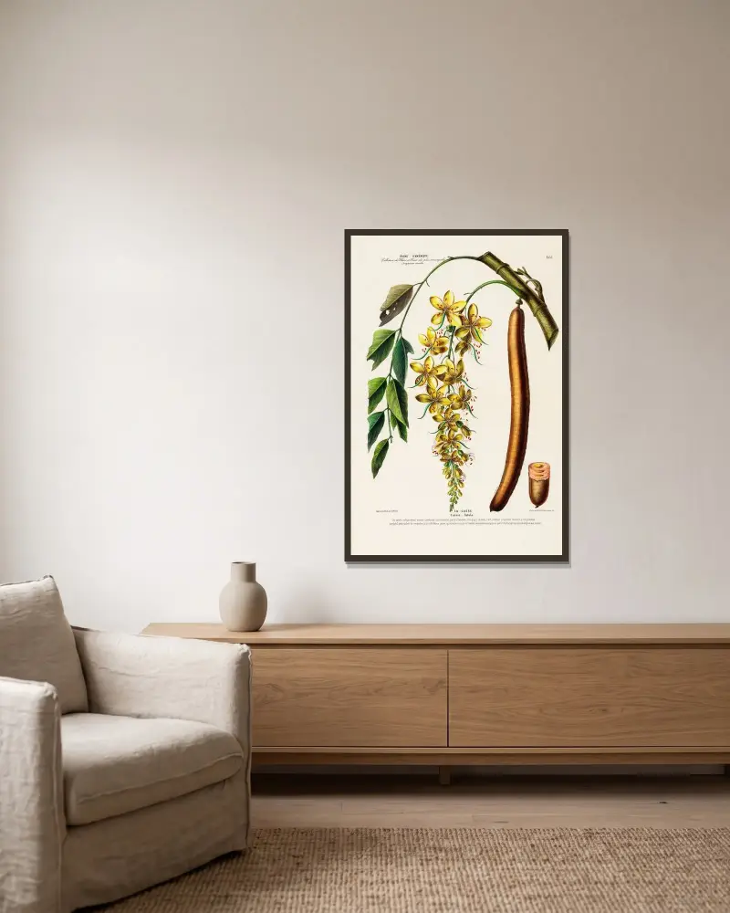 Flore d’Amérique, dessinée d’après nature sur les lieux Pl.155 av Etienne Denisse inramad på en vägg