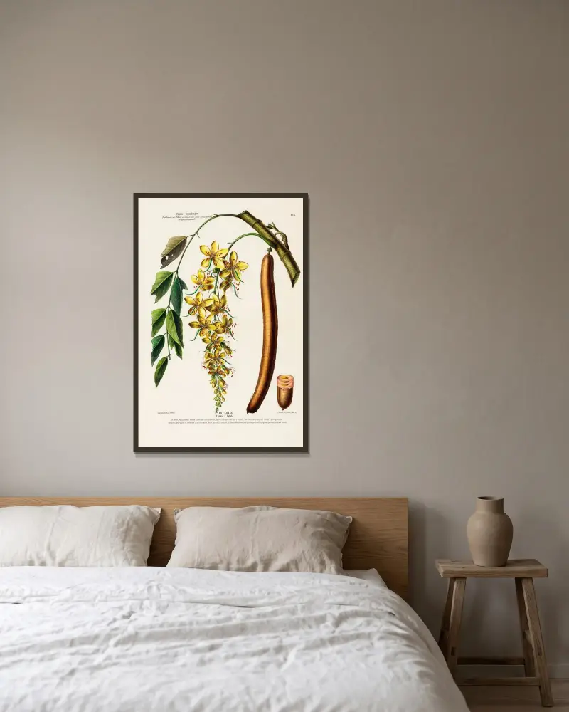 Flore d’Amérique, dessinée d’après nature sur les lieux Pl.155 av Etienne Denisse inramad på en vägg