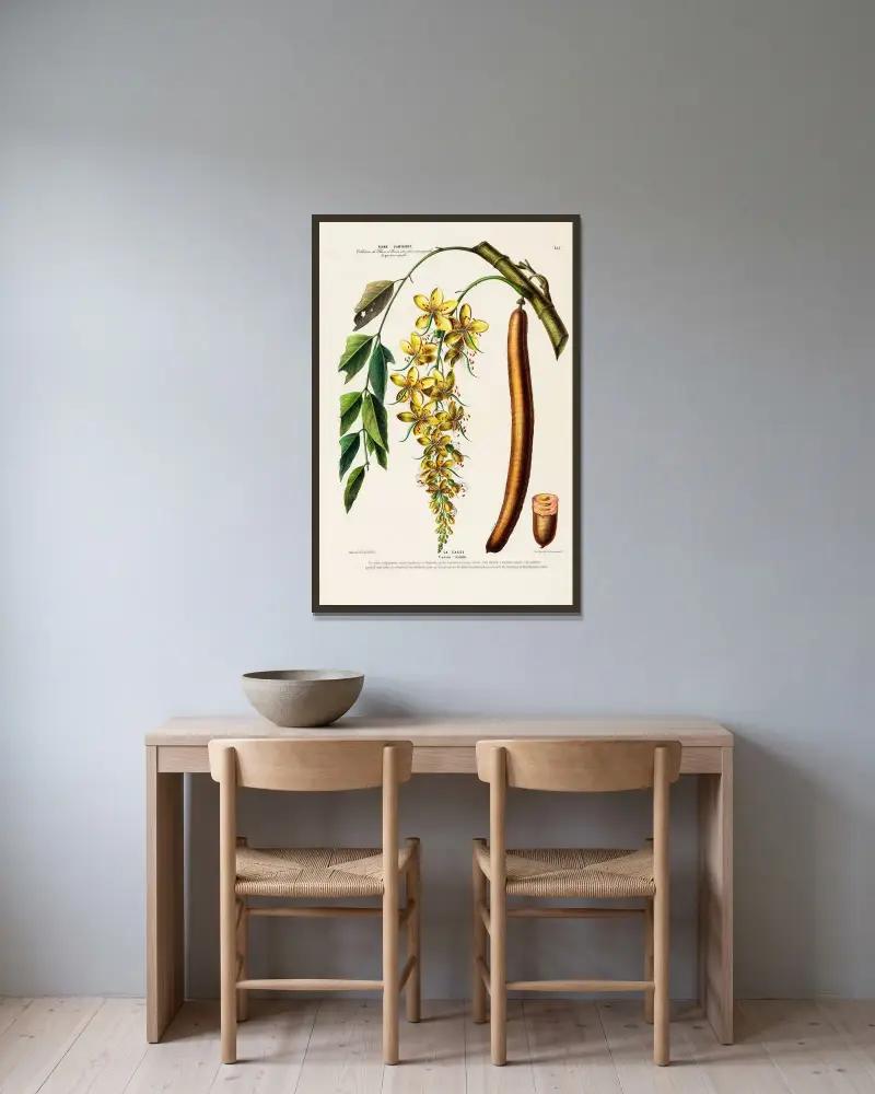 Flore d’Amérique, dessinée d’après nature sur les lieux Pl.155 av Etienne Denisse inramad på en vägg