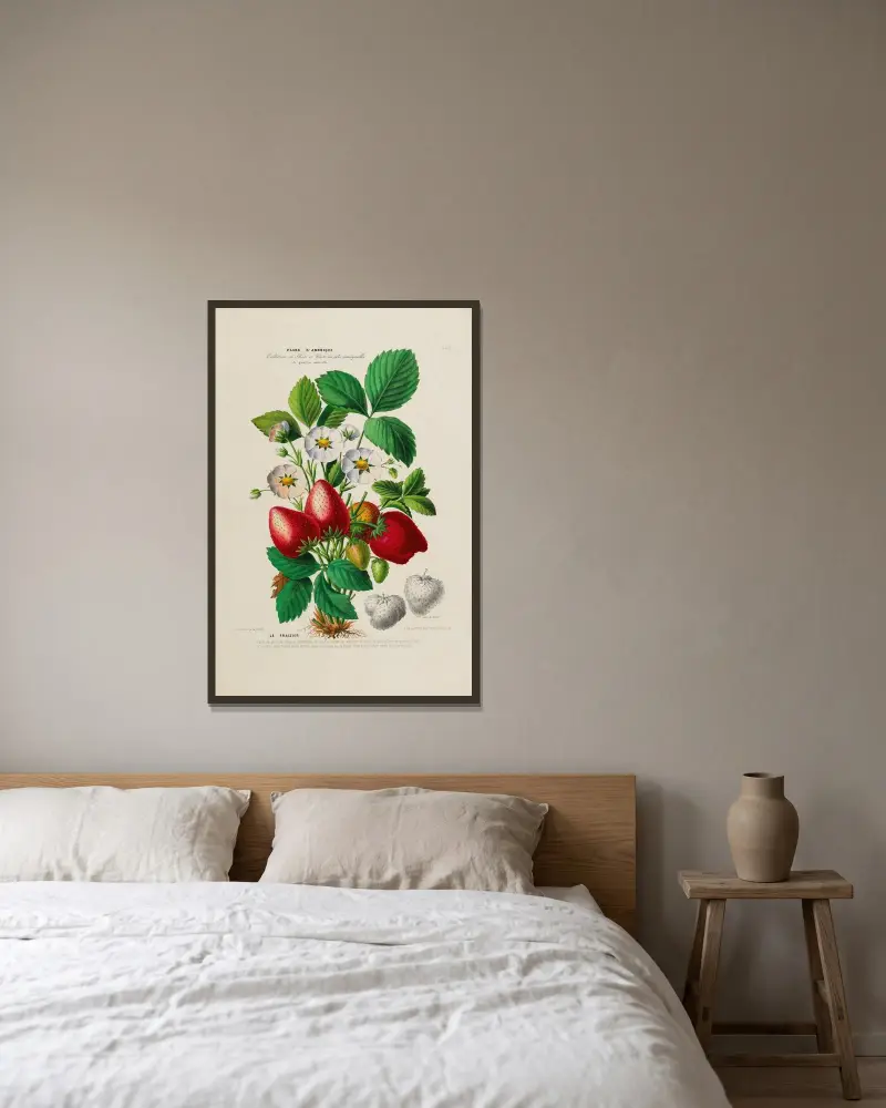 Flore d’Amérique, tecknad efter naturen på plats Pl.159 av Etienne Denisse inramad på en vägg