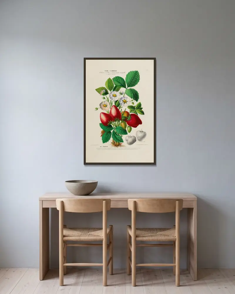 Flore d’Amérique, tecknad efter naturen på plats Pl.159 av Etienne Denisse inramad på en vägg