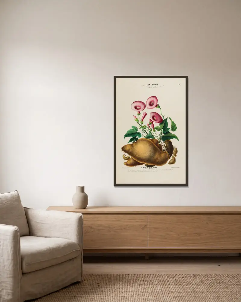 Flore d’Amérique, dessinée d’après nature sur les lieux Pl.163 av Etienne Denisse inramad på en vägg