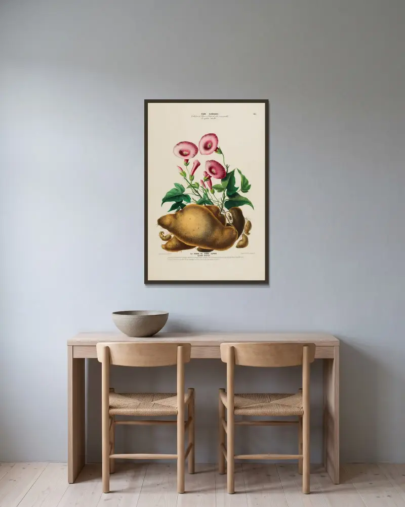 Flore d’Amérique, dessinée d’après nature sur les lieux Pl.163 av Etienne Denisse inramad på en vägg
