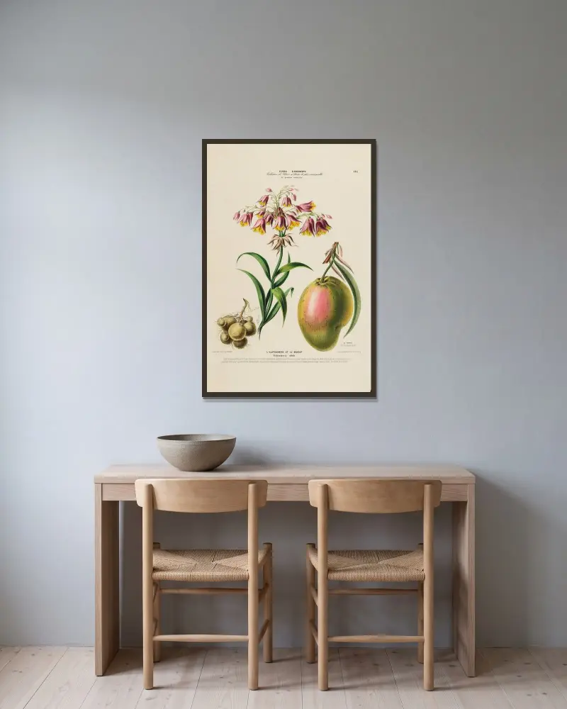 Flore d’Amérique, tecknad efter naturen på plats, pl. 165 av Etienne Denisse inramad på en vägg