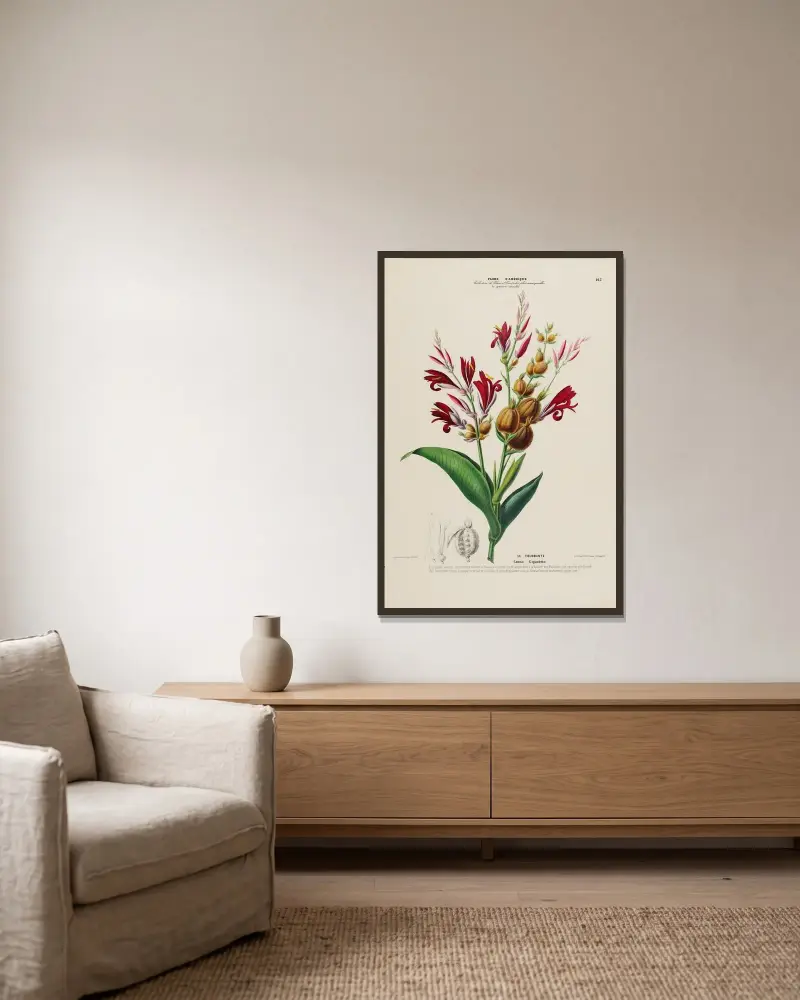 Flore d’Amérique, dessinée d’après nature sur les lieux Pl.167 av Etienne Denisse inramad på en vägg
