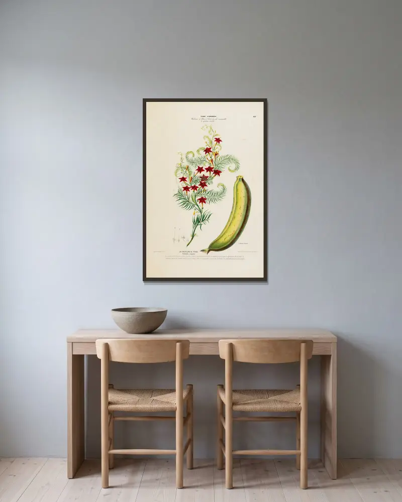 Flore d’Amérique, dessinée d’après nature sur les lieux Pl.169 av Etienne Denisse inramad på en vägg