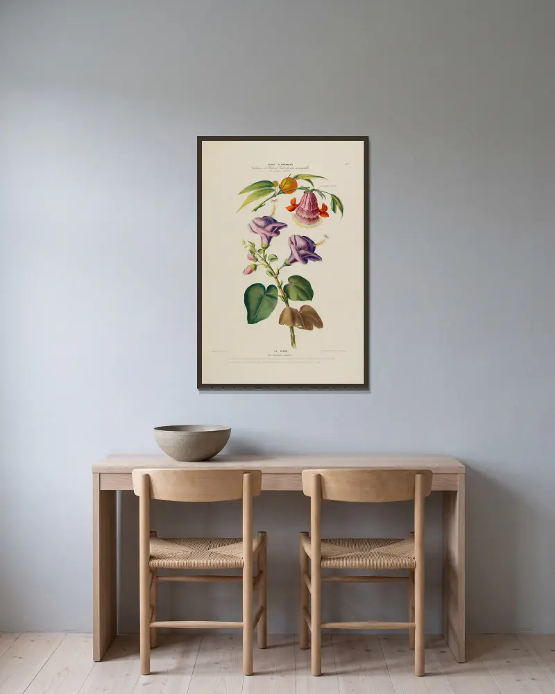 Flore d’Amérique, dessinée d’après nature sur les lieux Pl.177 av Etienne Denisse inramad på en vägg